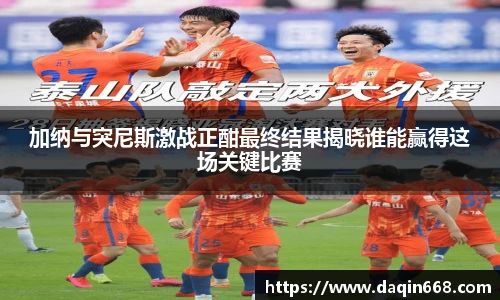 v66体育官网